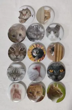 Item thumbnail for item 7583026a-23f3-4025-ad34-fd1414f97b89