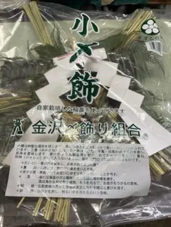 Item thumbnail for item 39220019-cdbc-49e6-b721-352f33651877