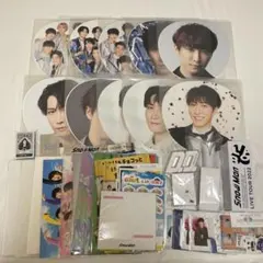 SnowMan 渡辺翔太 グッズ まとめ売り