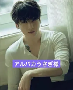 アルパカうさぎ様専用