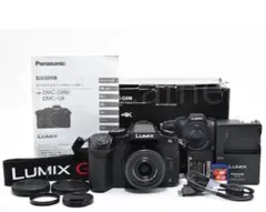 ジャンク】 Panasonic DC-GH5 LUMIX ミラーレス一眼レフ - メルカリ