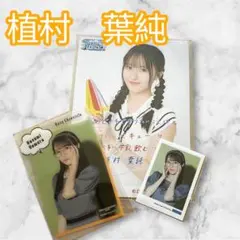 ロージークロニクル 植村葉純 ハロコン コレ写 クリアカード　ミニミニ生写真