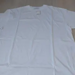 Item thumbnail for item a1a1b472-20de-40d7-8d26-acdef50103d7