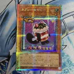 No.2629ユーティリティ　プリシク カプシー☆ヤミー