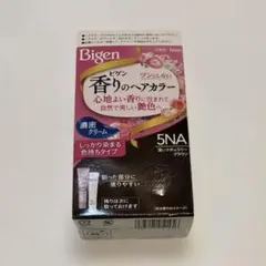 Bigen 香りのヘアカラー 5NA 深いナチュラリーブラウン