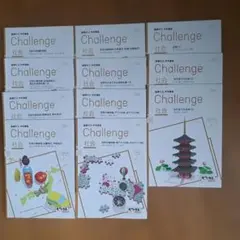 進研ゼミ中学講座　中2Challenge 社会 中学 参考書のサムネイル