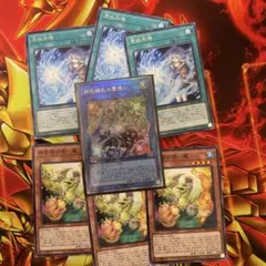 遊戯王OCG 四花繚乱の霊使い他