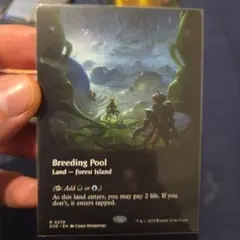 Breeding Pool 繁殖池　EOE278 ボーダーレス　英語