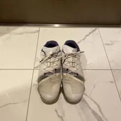 ゴルフシューズスパイク