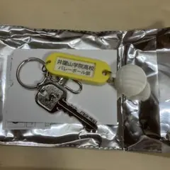 Item thumbnail for item 00d7f8b2-9fbd-4644-807f-445562e7e754