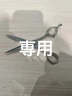 2026年最新】ミズタニシザーの人気アイテム - メルカリ