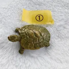 Item thumbnail for item 6b728439-63c8-40d3-a293-bfcacbdd038c