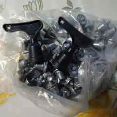 Item thumbnail for item dd72fd49-b358-4db7-911d-b15ea17bb737