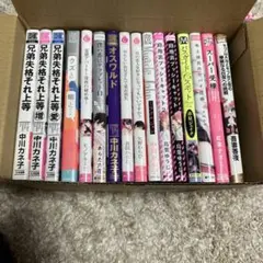 ボーイズラブ漫画セット　12冊