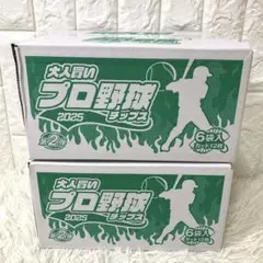 新品未開封 大人買いプロ野球チップス2025 第2弾 お菓子 ポテチ 12袋