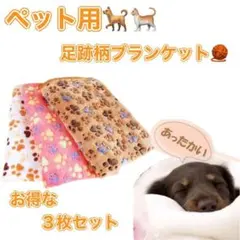 Item thumbnail for item 9530eccf-8173-482a-a2f7-3f5501c60756