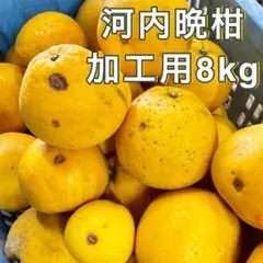 訳あり‼️愛媛産　河内晩柑8kg　加工用におすすめのサムネイル