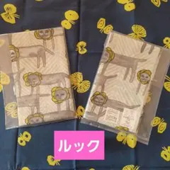 Item thumbnail for item f031e341-857c-436b-986a-8239343a00b0