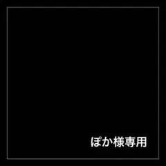 ぽか様専用　ショコラウサギの赤ちゃん　ケーキパーティー