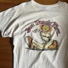 60s ロバートクラムミスターナチュラルTシャツアイロンプリント - メルカリ