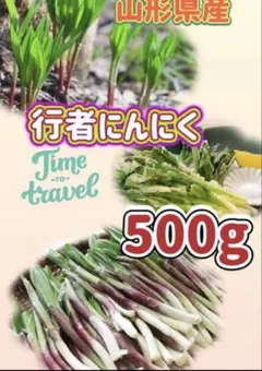 行者ニンニク　1キロ少し多め(1.1キロ) ヒトビロ　アイヌネギ　北海道産 北国からの贈り物 行者にんにく 1kg 行者ニンニク 北海道産 山菜