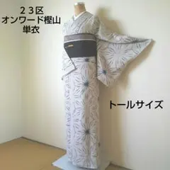 【単衣・23区オンワード樫山】上質な洗えるお着物・薄水色寄りグレー・居敷当無しのサムネイル