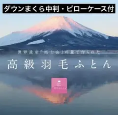 【甲州羽毛ふとん】定価11,000円　ダウンまくら中判・ピローケース付