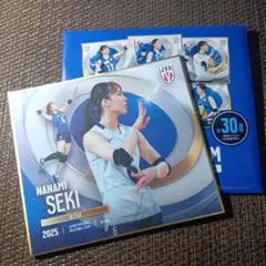 VNL 2025 バレーボール女子日本代表 関菜々巳選手 直筆mini色紙 VNL 2025 バレーボール女子日本代表 関菜々巳選手 直筆mini色紙