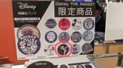 ディズニー　刺繍缶バッジ　ティンカーベル　ディズニーマーケット