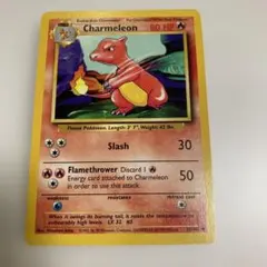 CHARMELEON 24/102 英語版 リザード シャドーレス - メルカリ