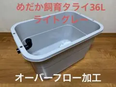 メダカ飼育タライ36Lライトグレー　オーバーフロー加工のサムネイル