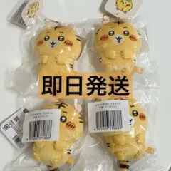 ナガノの虎 ぬいぐるみくじ マスコット 4個
