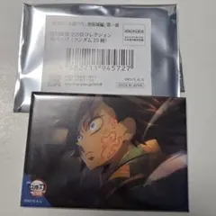 映画　劇場版　鬼滅の刃　全方位コレクション缶バッジ　冨岡義勇　痣