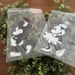ディズニー✨ミッキー ✨ミニー✨アクリルオーナメント