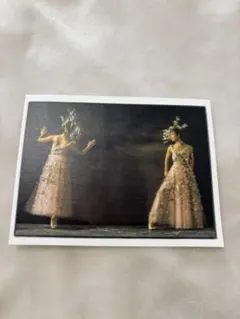 Item thumbnail for item 8779e862-e925-43c9-83e6-fd6bb4610909