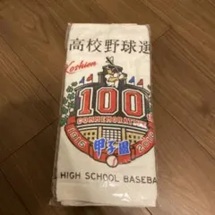 Item thumbnail for item 44a8fc7f-b33b-40d6-967b-c211ab3982ff