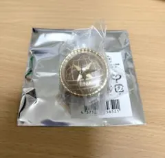 プロセカ　セカライ5th リンライ　リングライト　東雲絵名