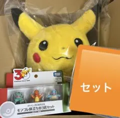 ポケットモンスター ポケモン30周年記念 おかえりピカチュウ1/1 ピカセット