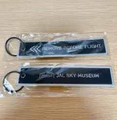 Item thumbnail for item a6cd144e-5ca0-48e7-a3f4-cb8b49703883