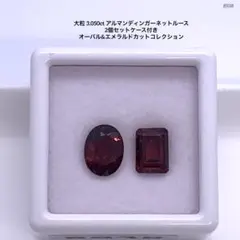 大粒 3.050ct アルマンディンガーネットルース 2個セットケース付き