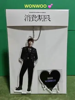 2025年最新】seventeen ウォヌ アクスタの人気アイテム - メルカリ