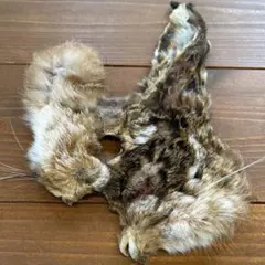 Item thumbnail for item 10454aa4-8027-48c7-b4ba-3b72b61a49d3