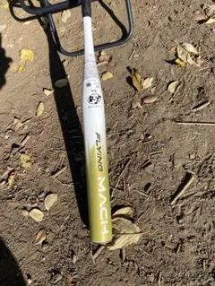 Item thumbnail for item d32a628a-46cd-4b12-8552-1868a3546c71