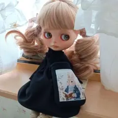 2026年最新】アイシードール服の人気アイテム - メルカリ