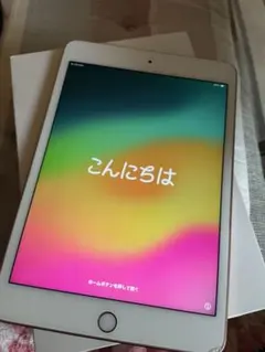 iPad mini5 64g Wi-Fi＋Cellular