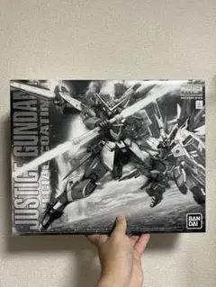 MG 1/100 ジャスティスガンダム [スペシャルコーティング]のサムネイル