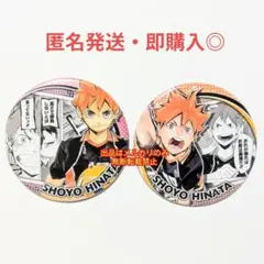 ハイキュー!! 日向 翔陽 コレクション缶バッジ HEROES 缶バッジ 2種