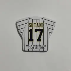 オリックスバファローズ　缶バッジ