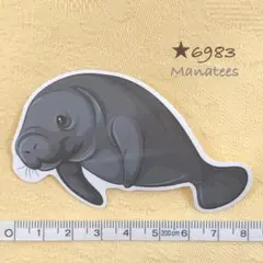★6983【新品】ステッカー 動物園 マナティ マナティー Manatees