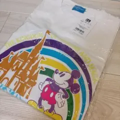 ディズニーリゾート　Tシャツ　ミッキー　シンデレラ城